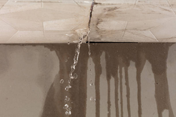 Professional Burst Pipe Cleanup technician working in Drummonds, TN